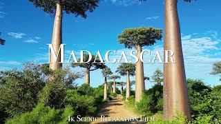 Madagascar • Scenic Relaxation Film With Calming Music [upl. by Nylcsoj]