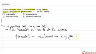 In the vertebrate testes for nourishment during spermiogenesis the spetimads get attached to [upl. by Peta]