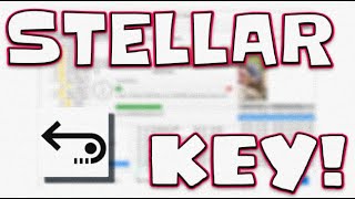 How to INSTALL Stellar Data Recovery 11007 Activation Key 2024 [upl. by Anesusa]