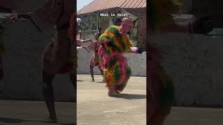 Watch this beautiful dance by the people of OGUN STATE leedanborno fypシ゚viralシfypシ゚viralシalシ [upl. by Anahcar549]