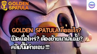 สรุปแล้ว Golden Spatula คืออะไร ต้องย้ายมาเล่นมั้ย คำตอบอยู่ในคลิปนี้ [upl. by Sihonn]