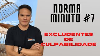 EXCLUDENTES DE CULPABILIDADE  Método de Ensino Fabio Nakaharada  Aula 7 [upl. by Rosemonde]