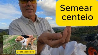 COMO SEMEAR CENTEIO BOLOTA FEZ NOS ESERAR [upl. by Hyacinthie991]