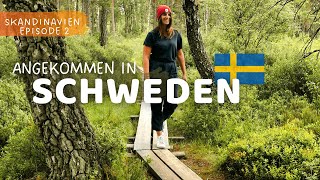 SÜDSCHWEDEN 🇸🇪 das größte Moor im Store Mosse Nationalpark  Camping Roadtrip VLOG 88 [upl. by Rowen249]