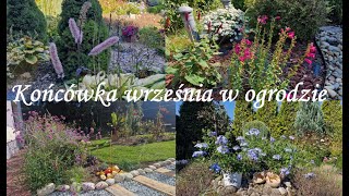 Żegnamy wrzesień w ogrodzie Kwitną ołowniki astry świecznica clerodendrum  Ogród Jadzi 221 [upl. by Levesque946]