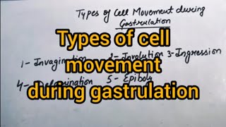 Types Of Cell Movement During Gastrulation  BSc  MSc  CSIRNET LIFESCIENCE  Biology By Neha [upl. by Helfant]