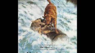 06 The Cougar score  Homeward Bound The Incredible Journey OST [upl. by Adnilre]