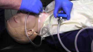 Needle Cricothyrotomy Skill Practice NRP [upl. by Matthieu]