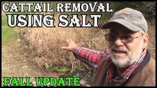 Proof Non Toxic Salt Removes Cattails And Other Vegetation [upl. by Nospmoht]