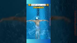 Les Quatre STYLE de Nage  Éducatif PAPILLON swimming swim natation [upl. by Ardnaiek]