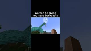 Minecraft Meme [upl. by Neraa]