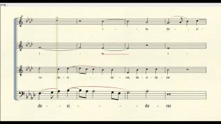 quotSicut Cervusquot by Palestrina bass part [upl. by Schick]