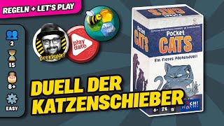 POCKET CATS  Brettspiel  Regeln amp Lets Play [upl. by Eberto]