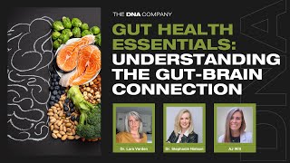 Gut Health Essentials Understanding the GutBrain Connection [upl. by Nottnerb]