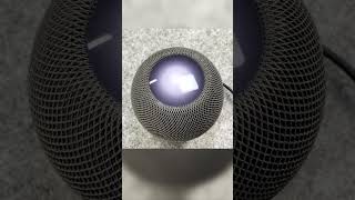 Así Suena  HomePod Mini 2023 homepodmini pruebadesonido homepod [upl. by Anillehs]