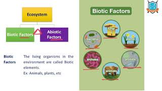 Ignou BEVAE 181 Environmental Studies Unit 2 Ecosystem [upl. by Ynohtna788]