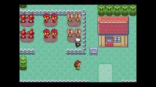 Pokémon Emerald Walkthrough Part 35 Berry Harvest on Route 123 [upl. by Moser]