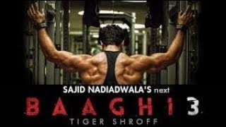 Baaghi 3 trailer 2019 [upl. by Eliades555]