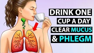 DRINK 1 CUP To Clear Phlegm amp Mucus from Throat Lungs amp Airways [upl. by Eytteb]