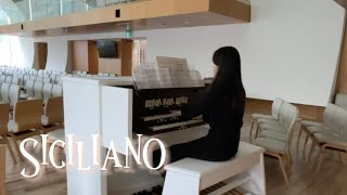 사순절 4주 오르간전주  Bach Siciliano BWV 1031 organ prelude for Lent [upl. by Burlie]