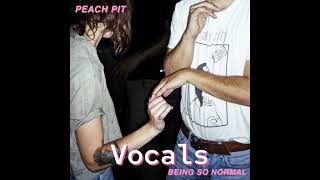 Peach Pit  Alrighty Aphrodite  Vocals Only [upl. by Areek390]