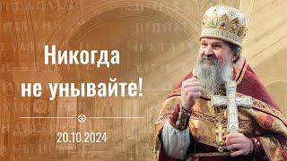 Никогда не унывайте Проповедь прот Андрея Лемешонка 20 октября 2024 г [upl. by Dolley666]