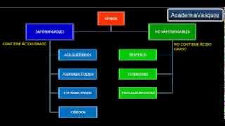Lípidos Propiedades Funciones y Clasificación [upl. by Aleet]