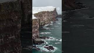 One of the largest seabird cliffs in Europe  Látrabjarg Iceland wondersoficeland perlan nature [upl. by Nireves]