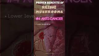 5 Proven Benefits of Reishi Mushrooms [upl. by Ynots]