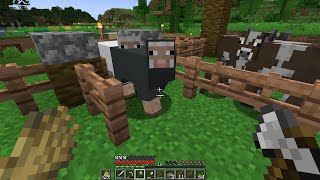 Lazar Plays Minecraft  Episode 3 Barn [upl. by Harpp551]