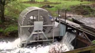 Micro Hydro Water Wheel  Freeflow69 Ltd [upl. by Nylrahs98]