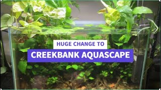 Huge Changes to Creekbank Aquascape its now a Riparium aquarium fish aquascape [upl. by Reltuc50]