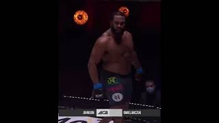 JOHNSON amp OMIELANCZUK MMA Knockout or Submission Whats the Best Choice for Fighters [upl. by Alyt]