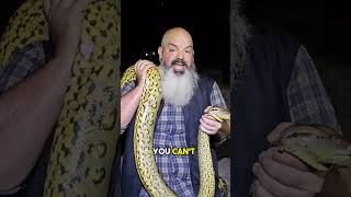 New Species The Northern Green Anaconda LARGEST SNAKE IN THE WORLD [upl. by Asirehc]