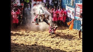 Jallikattu 2018 Story Book [upl. by Weaks]