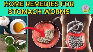 5 Simple home remedies for Stomach Worms  Kill Parasites Naturally [upl. by Suiratnauq]