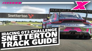 Snetterton 300  davecamyt iRacing Porsche GT3R Track Guide [upl. by Herahab817]