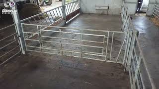 3 in 1 Calving Gate With Split Gate For CSections [upl. by Viens]