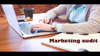 Marketing Audit  explanation in both the language Hindi as well as English [upl. by Naharba]