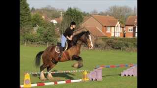 Mottingham farm riding centre [upl. by Werra]