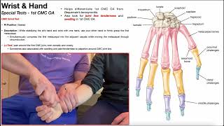 CMC Grind Test for First CMC Joint Osteoarthritis [upl. by Aicilyhp]