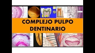 quotCOMPLEJO PULPO DENTINARIO quot por el Dr Cesar Cayo [upl. by Evey]