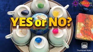 YES or NO Coffee Cup Reading Tarot Reading Timeless [upl. by Arrotal565]