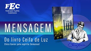 Mensagem  Do livro Ceifa de Luz [upl. by Ayardna774]