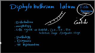 Parasitology 08 D latum »DrMoaz [upl. by Millur]