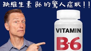 維生素B6少為人知缺B6的11種症狀自然療法柏格醫生 Dr Berg [upl. by Milurd]