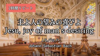 主よ人の望みの喜びよ Jesu joy of mans desiring JSバッハ 作業用 オルゴール パイプオルガン 電話保留音 誰もが一度は聞いたことある曲 睡眠子守唄 癒しクラシック [upl. by Abibah]