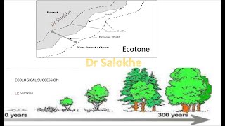 Community Ecology Ecotone and edge effect Ecological succession [upl. by Yorke680]