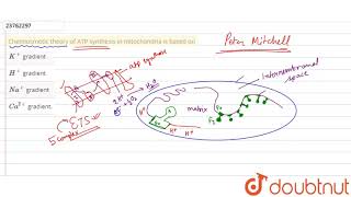 Chemiosmotic theory of ATP synthesis in mitochondria is based on [upl. by Artina]