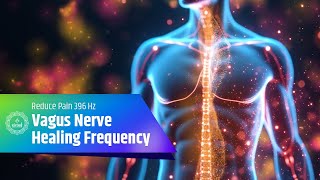 Vagus Nerve Healing Frequency  Reduce Pain and Inflammation with 396 Hz Frequency [upl. by Millburn]